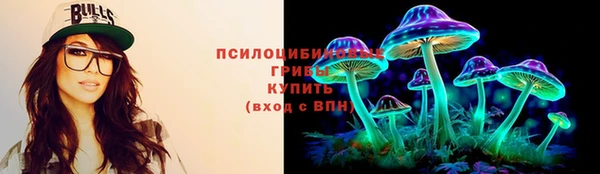 эйфоретик Аркадак