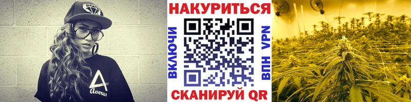 цена наркотик  Новый Оскол  Канабис индика 